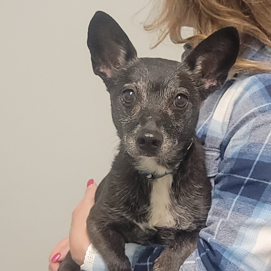 Caramel **Off-Site Foster Home**