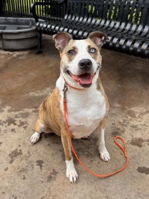 Meet Hymn Would you like to hear the song of her people Hymn is a silly goofy girl once you