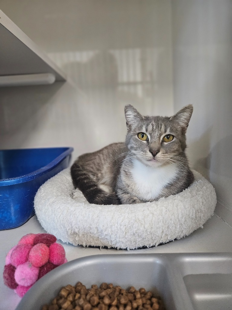 Nylah