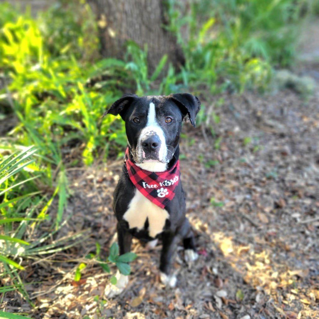 Duke