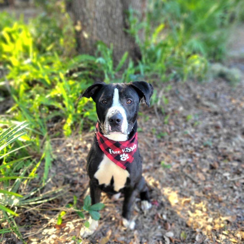 Duke