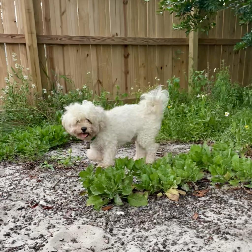 Baxter
