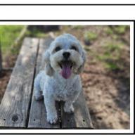 Baxter