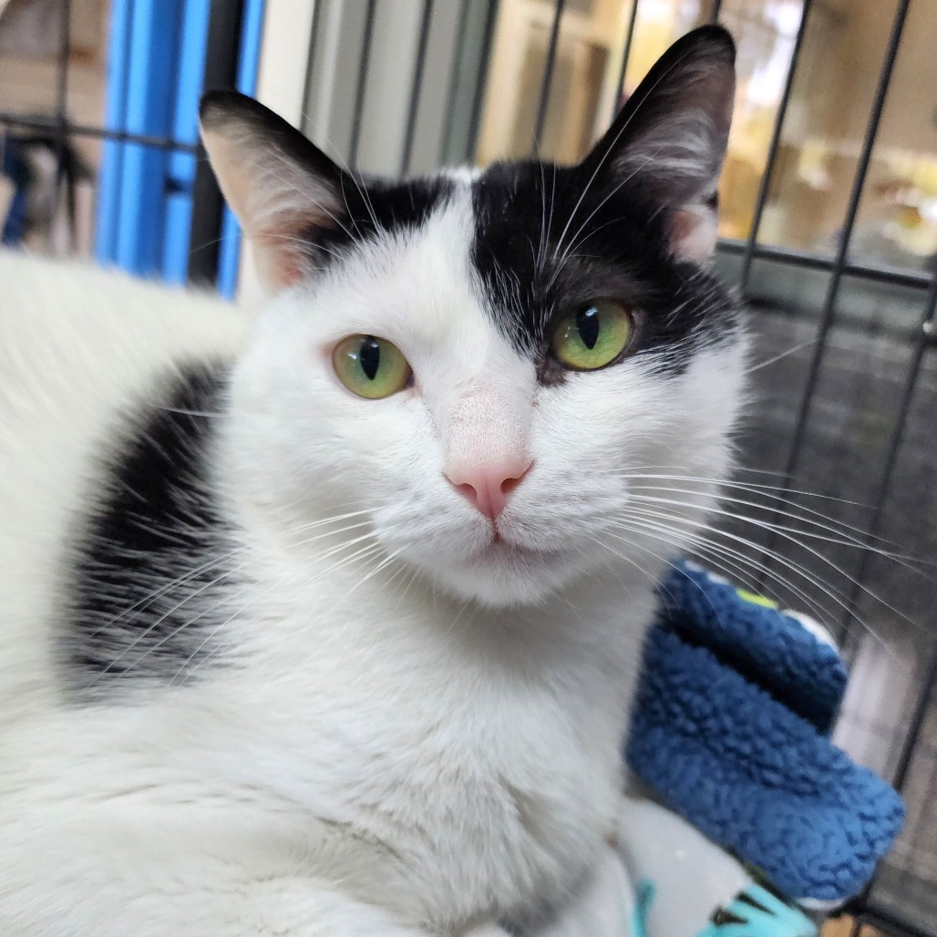 Russel(C000-160) - Chino Hills Location