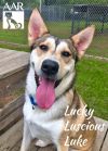 Lucky Luscious Luke photo 6