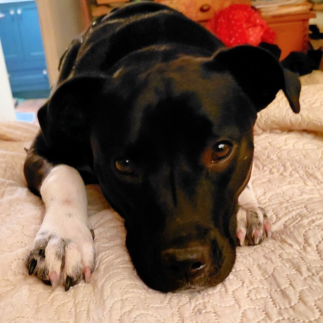 Delilah