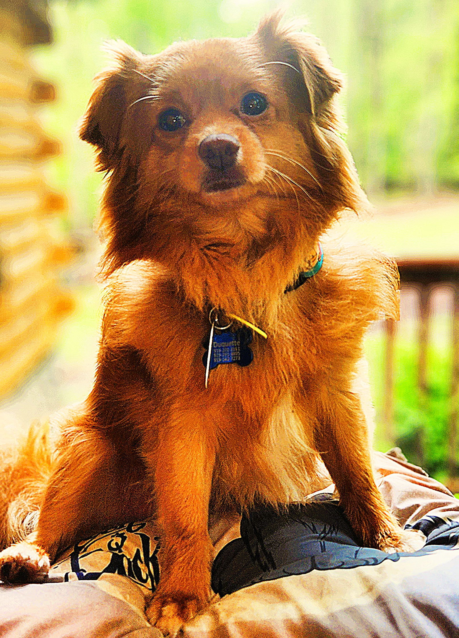 Rusty