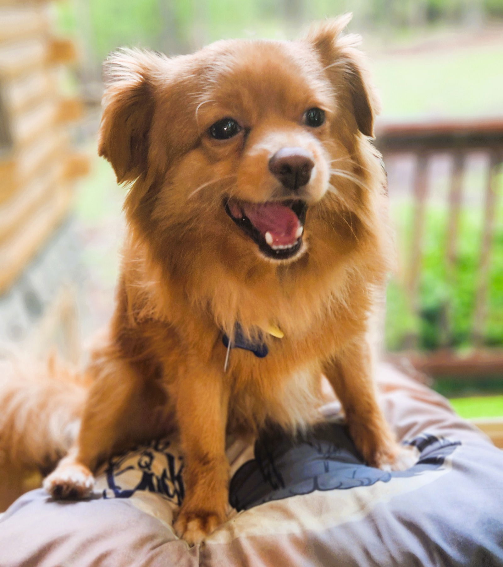 Rusty