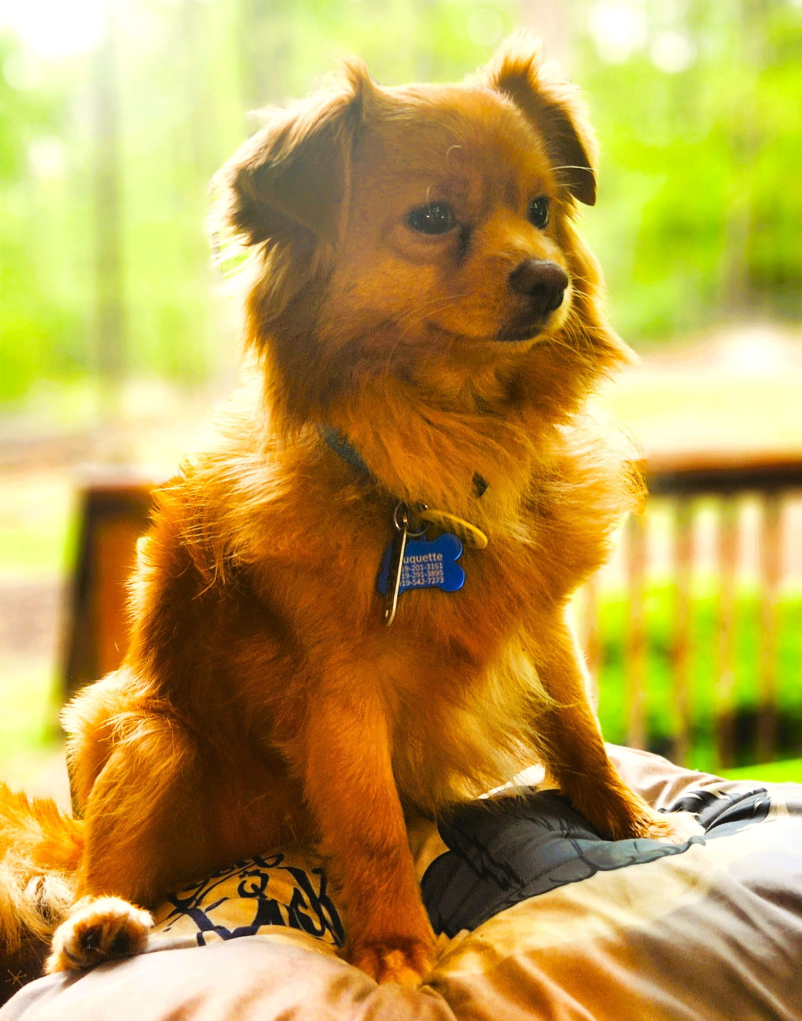 Rusty