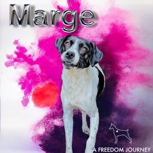 Marge, Adult Female unknown