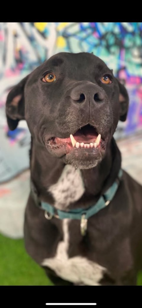 Athena aka Samantha