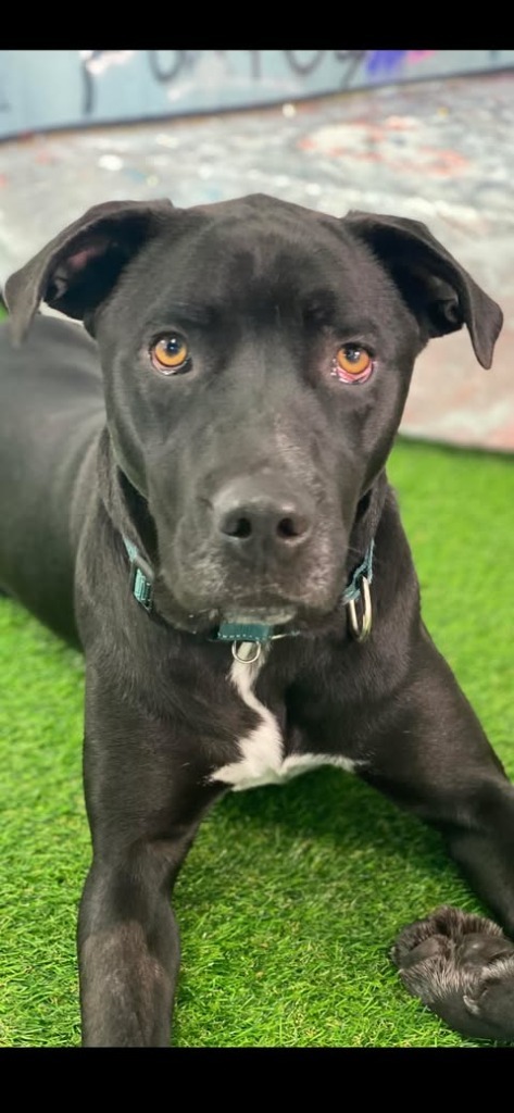 Athena aka Samantha