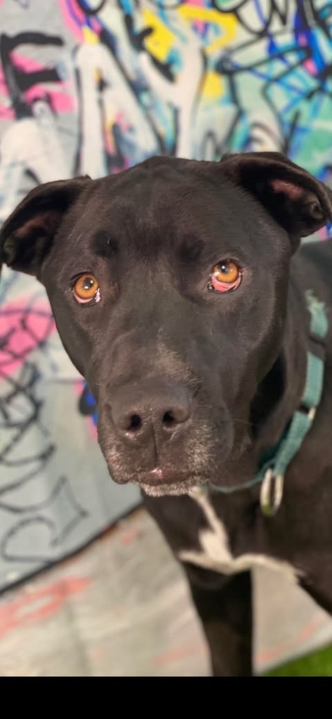 Athena aka Samantha