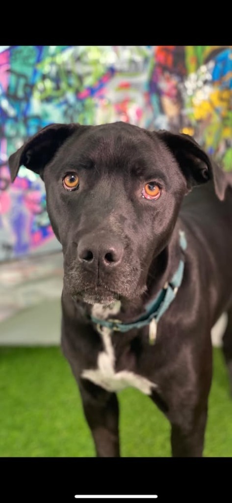 Athena aka Samantha