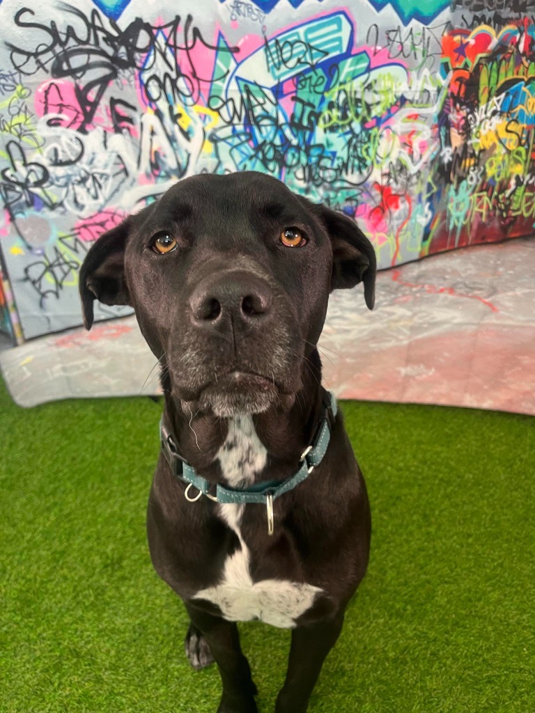 Athena aka Samantha