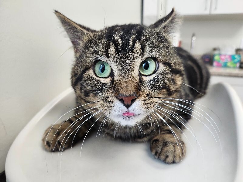 Pablo