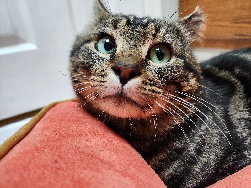 Pablo