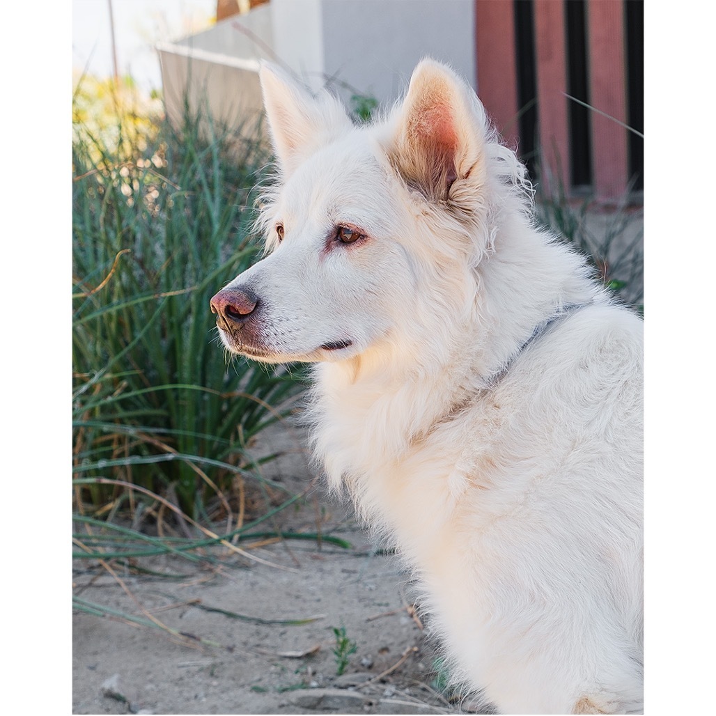 Luna Girl
