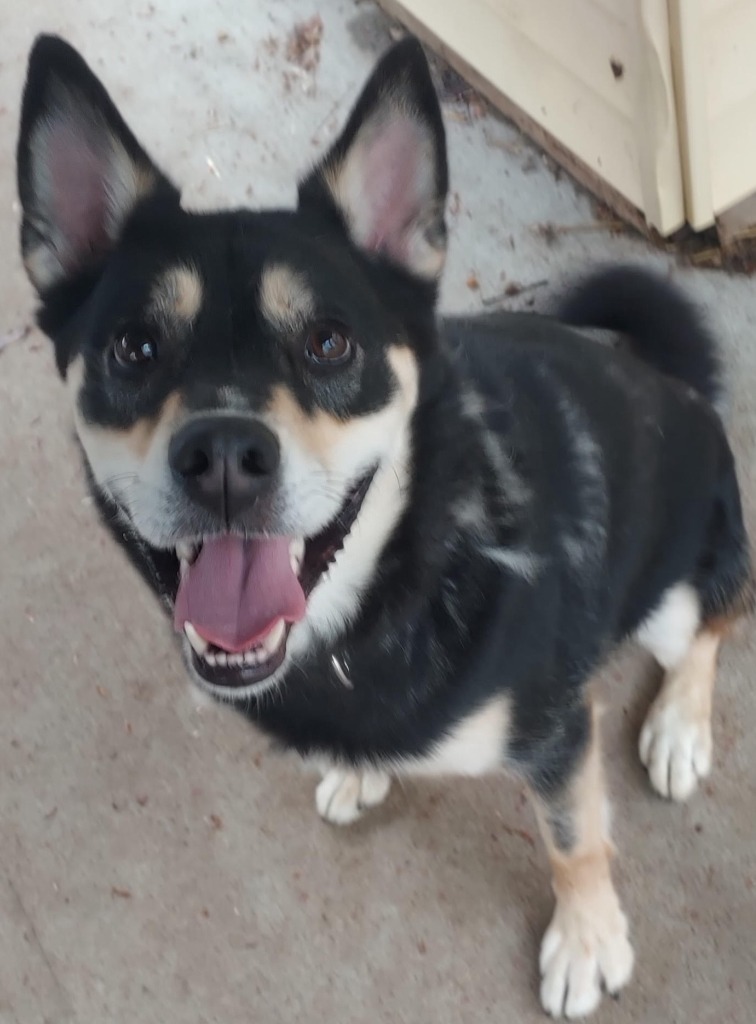 Sid