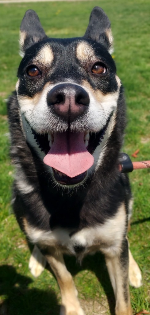 Sid