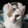 Julieta (BFF002) photo 1