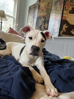 Juno