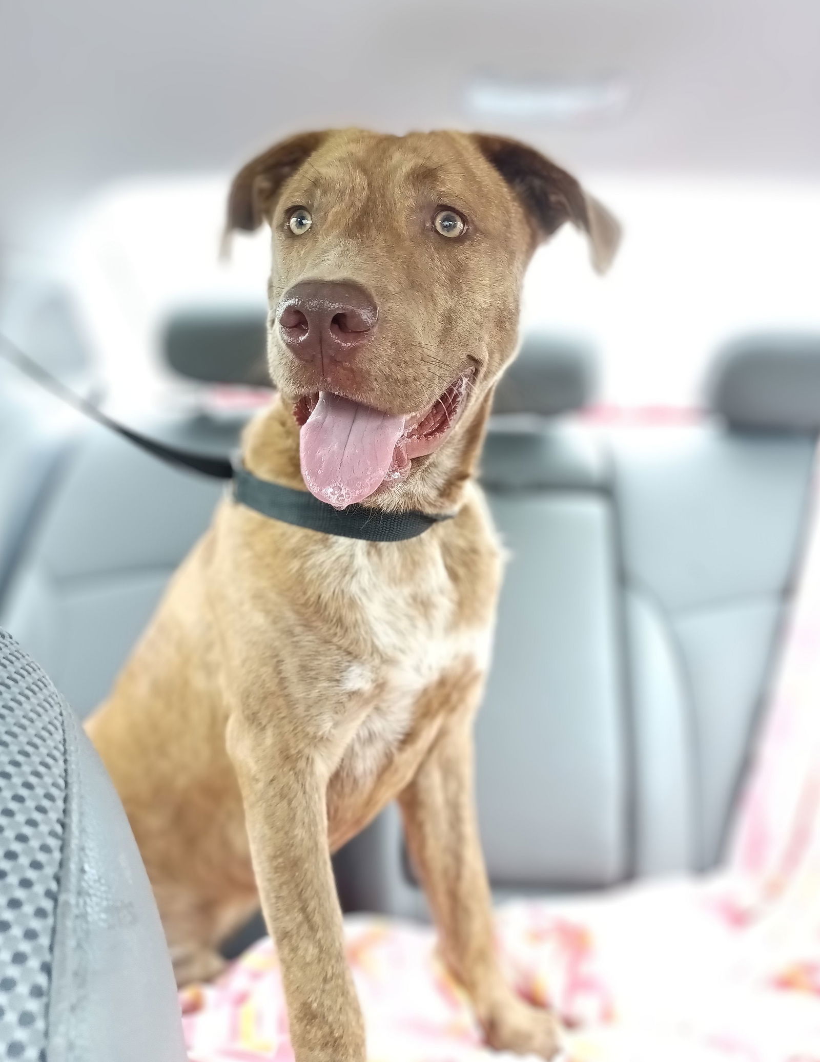 Tucker