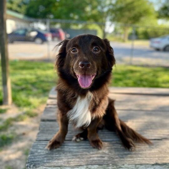 Booker