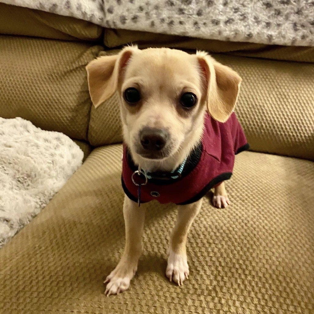 Sprout