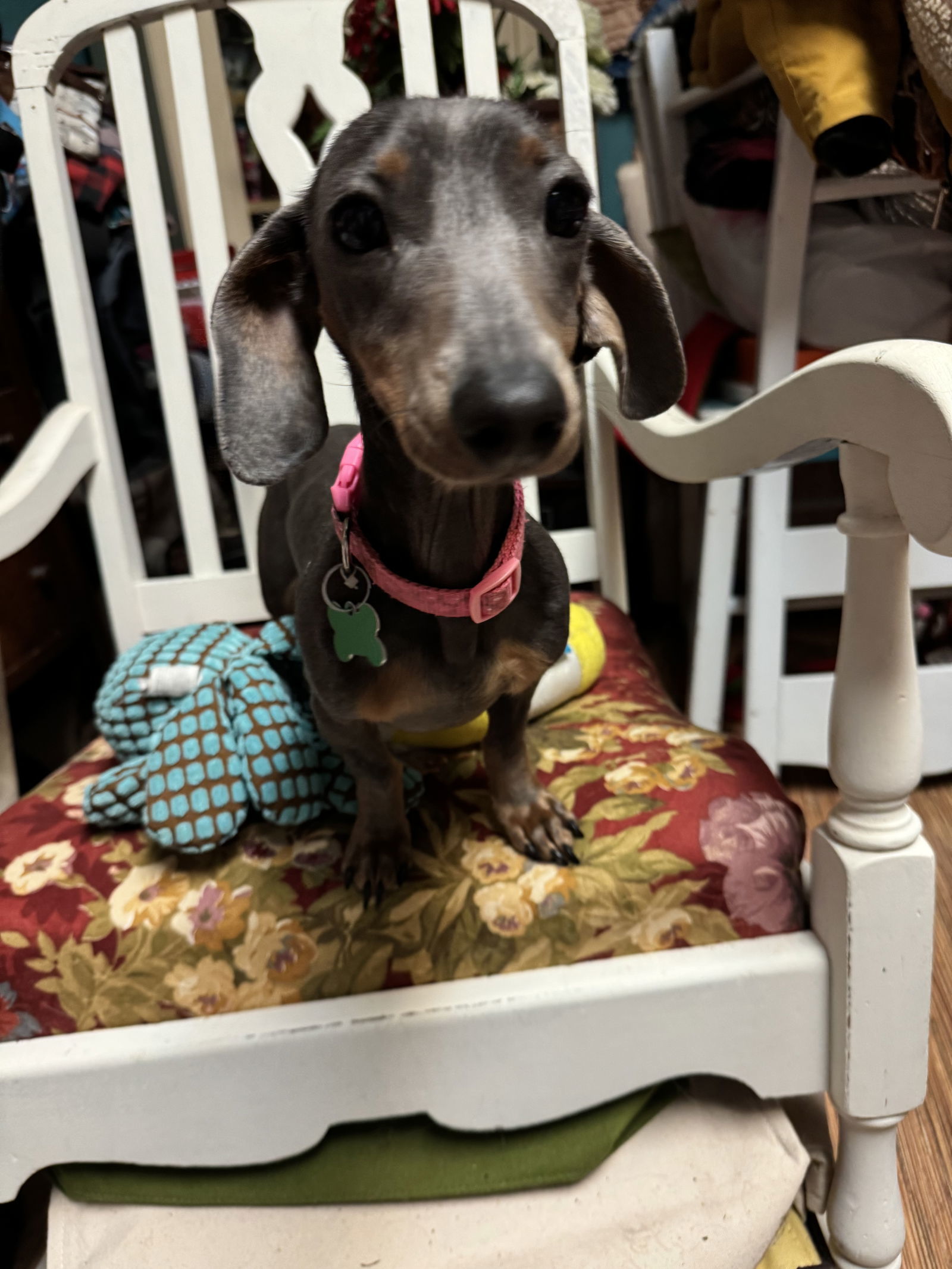 Cinda