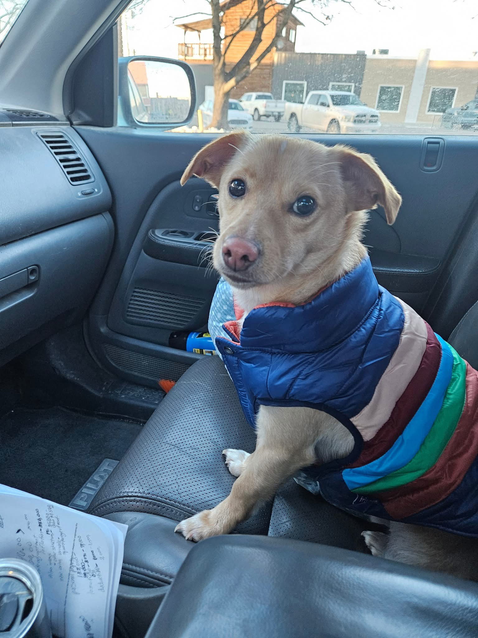Tucker