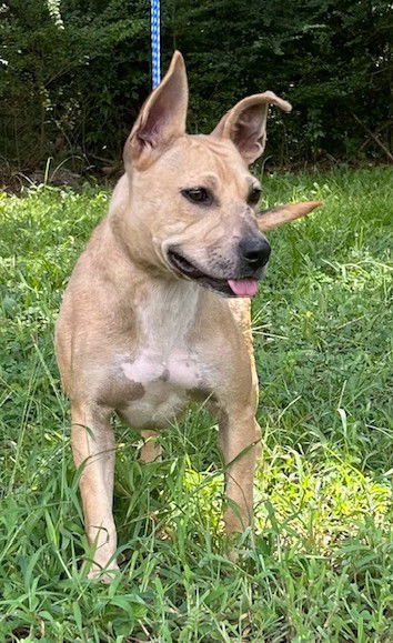 250061 Bonnie