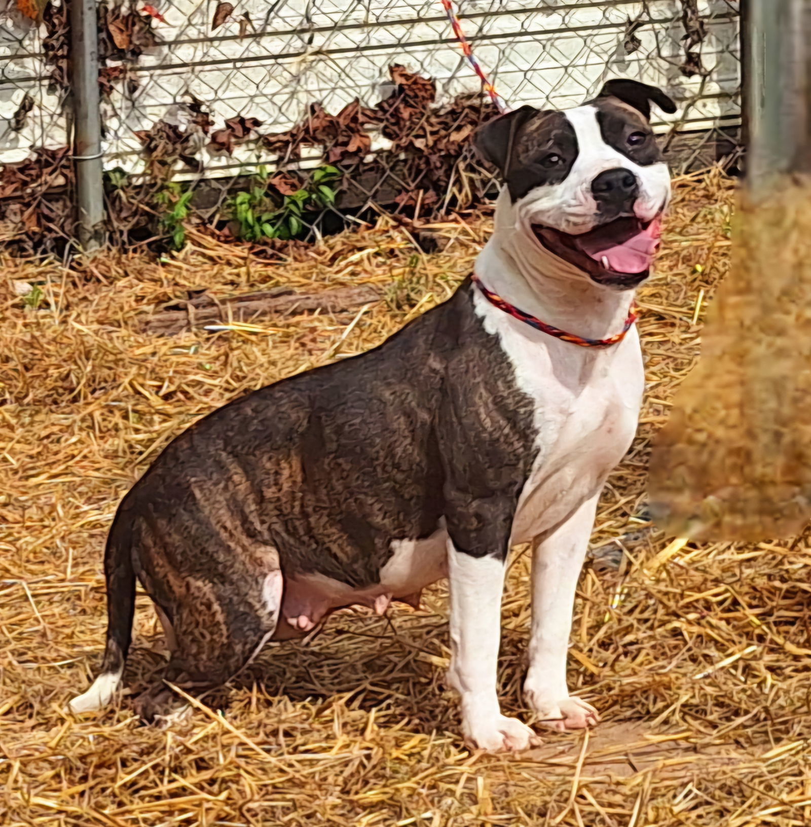 250035 Olivia