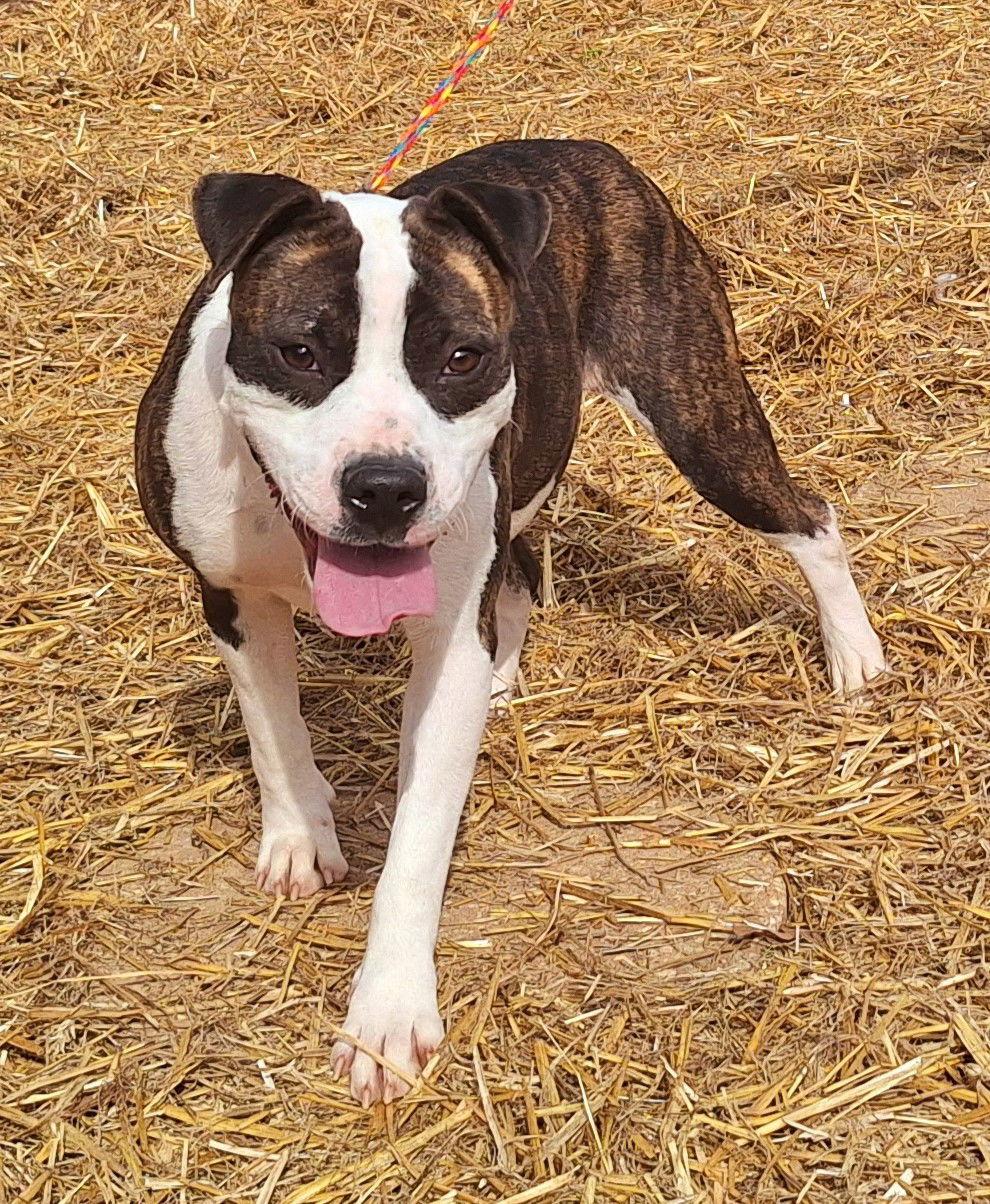250035 Olivia