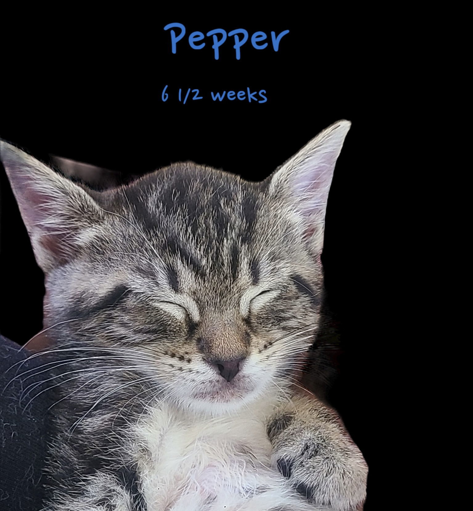 Salt & Pepper