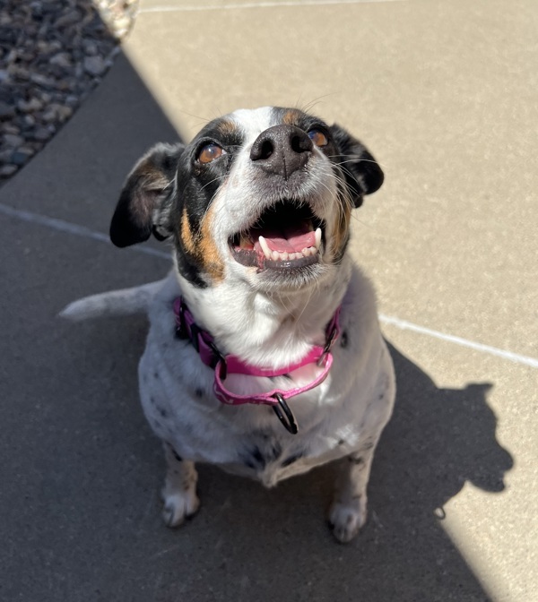 Maggie