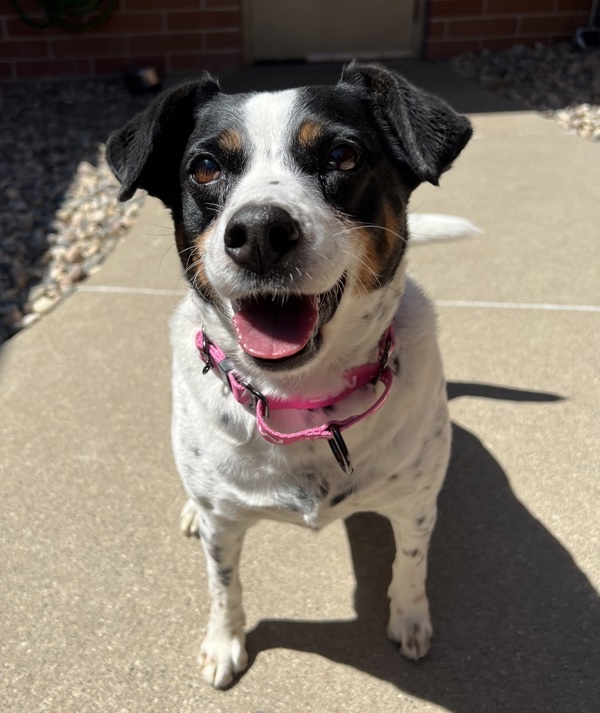 Maggie