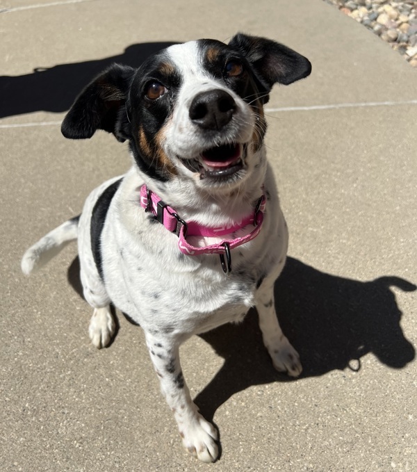 Maggie