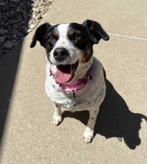 Maggie