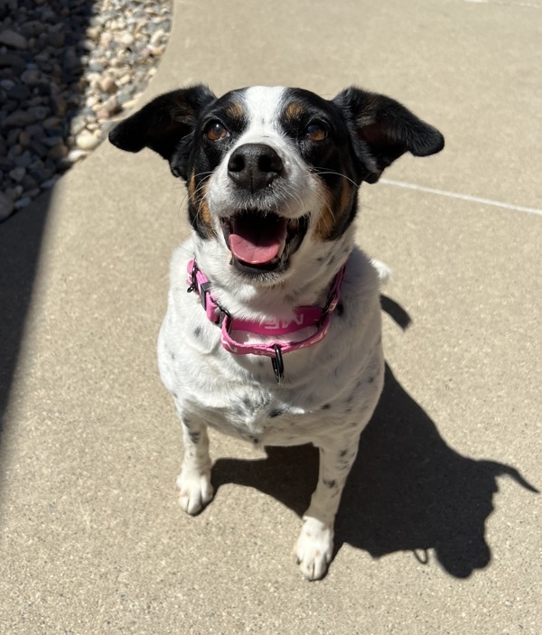 Maggie
