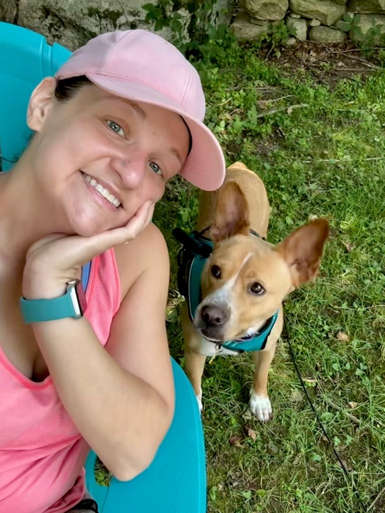 Kimmie - LOCAL, an adoptable Australian Cattle Dog / Blue Heeler, Basenji in Princeton, MA, 01541 | Photo Image 3