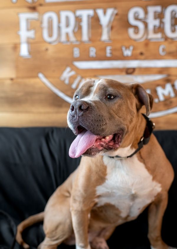 Diesel - Local thumbnail 6