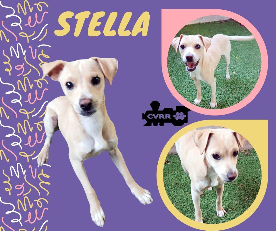 Stella