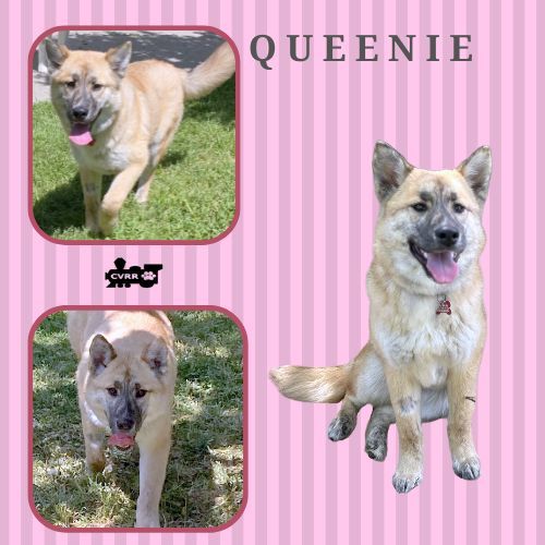 Queenie