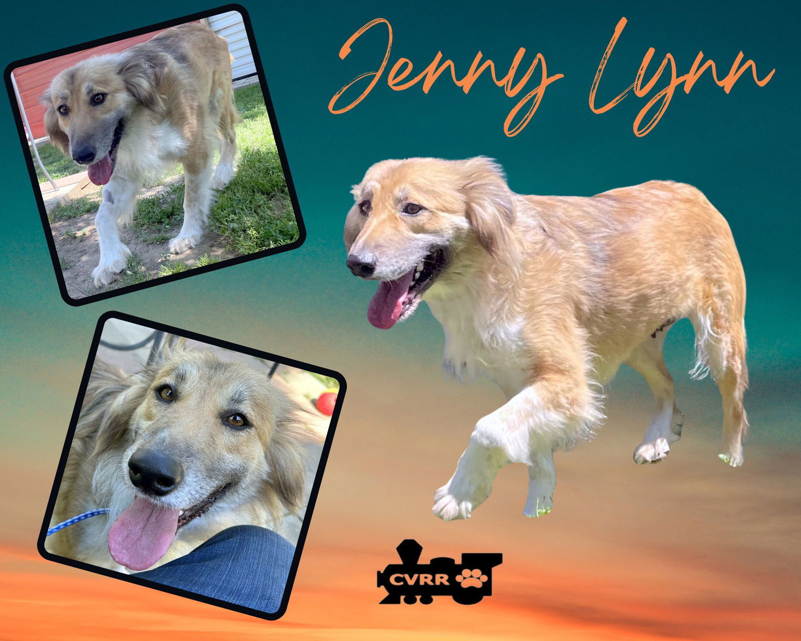 Jenny Lynn