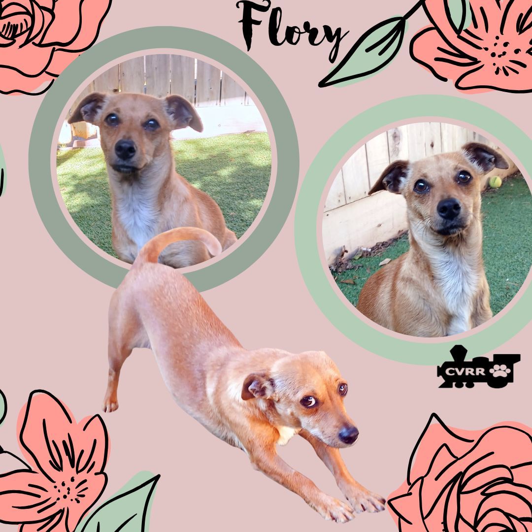 Flory