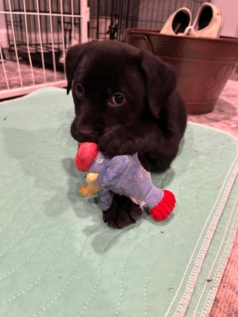 Finley 3
