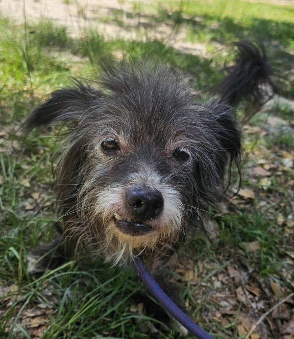 Ronny photo 1