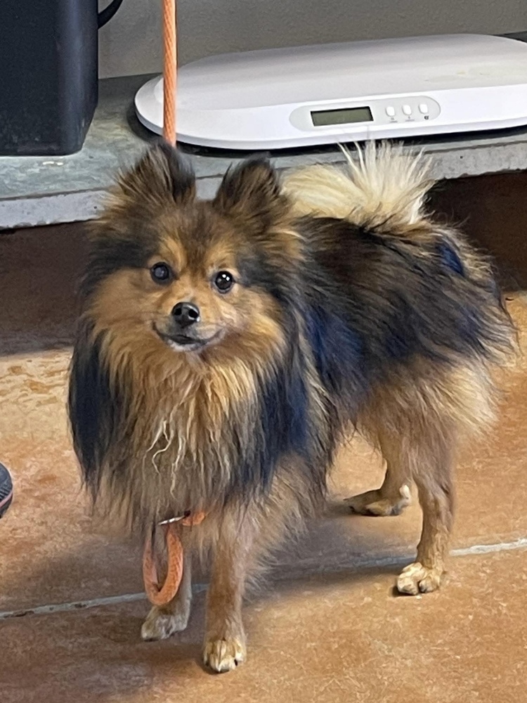Maxamillion Cooper