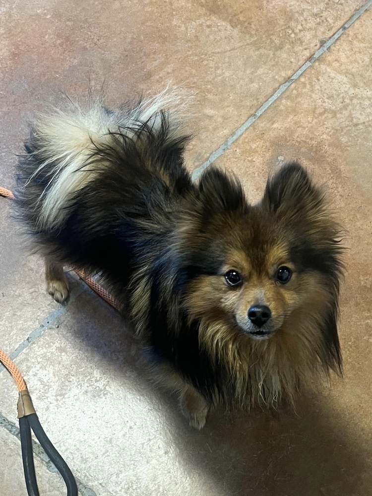 Maxamillion Cooper